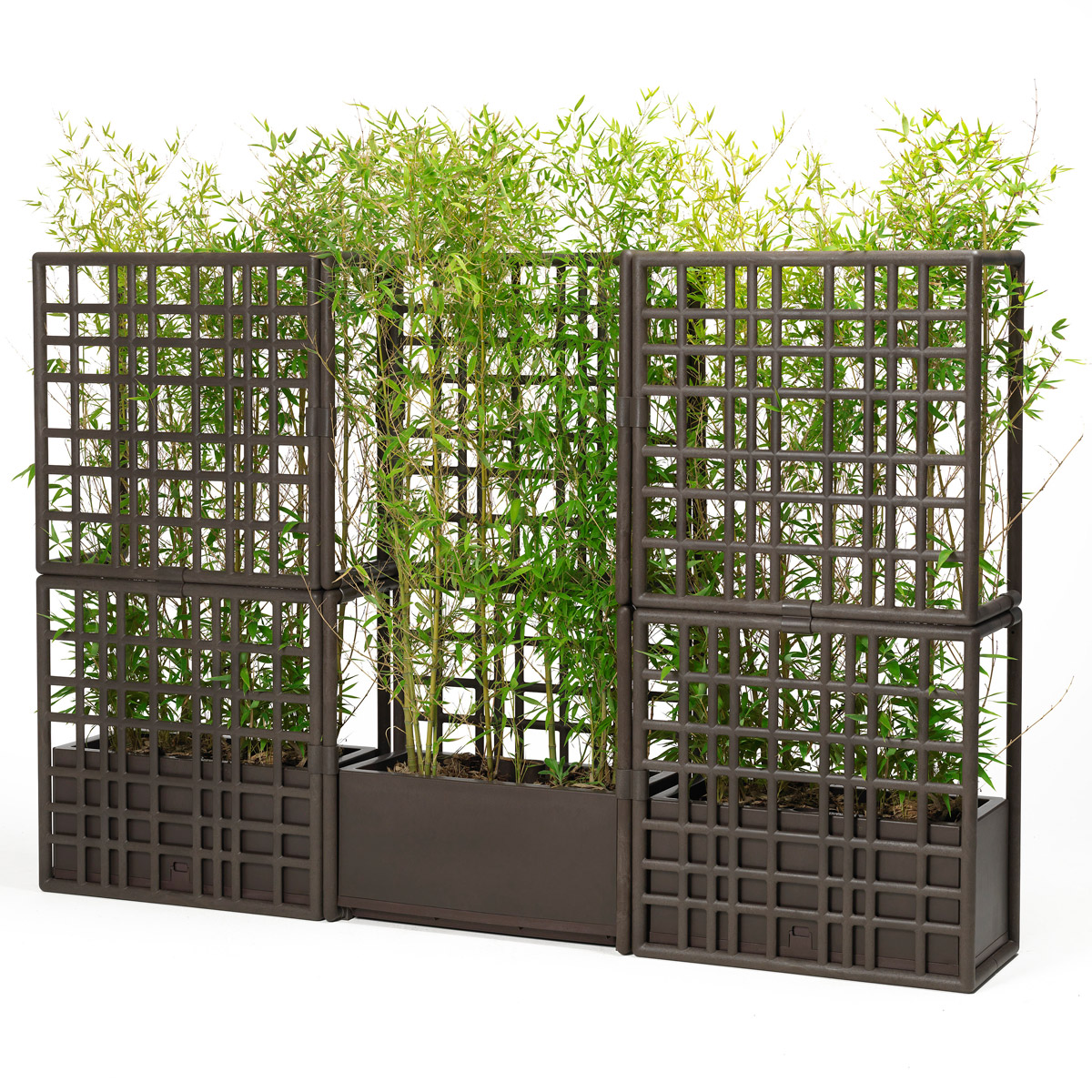 separador modular de terraza de restaurante